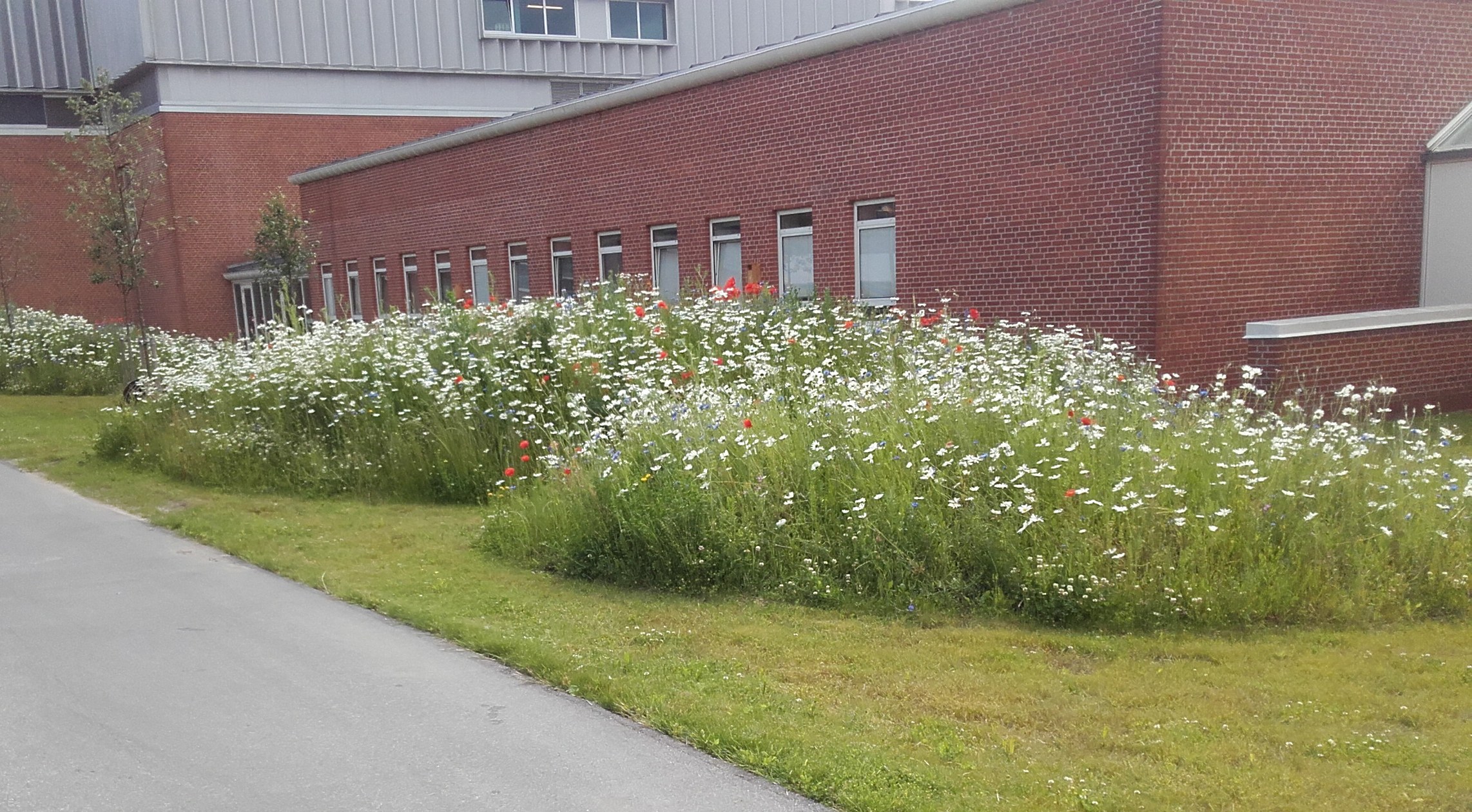 Mere natur i Favrskov - det er emnet på DN Favrskovs årsmøde i Ulstrup