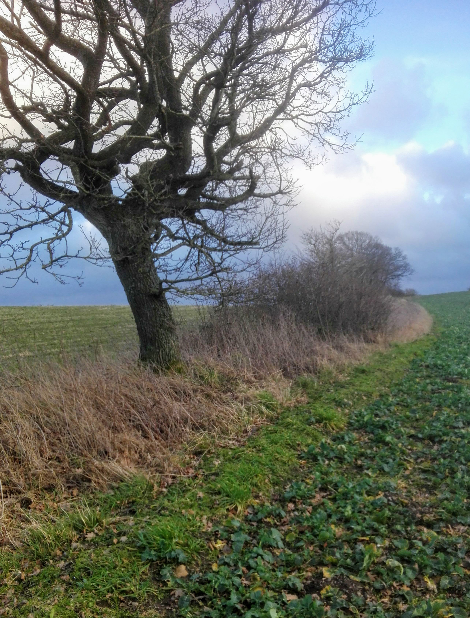 Beskyt naturen på digerne